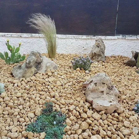 Oda ve Kahvaltı Maremosso 3*